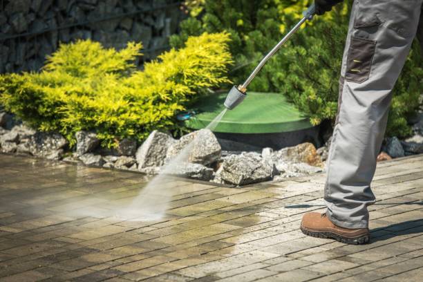Best Boat and Dock Cleaning  in Tropical Park, FL