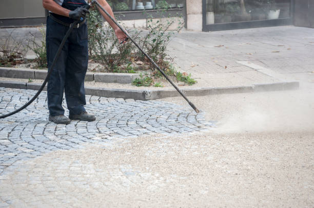 Reliable Tropical Park, FL Pressure Washing Services Solutions